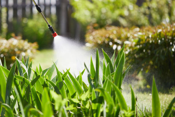 Tamper-Resistant Bait Stations for Rodents in Woodstown