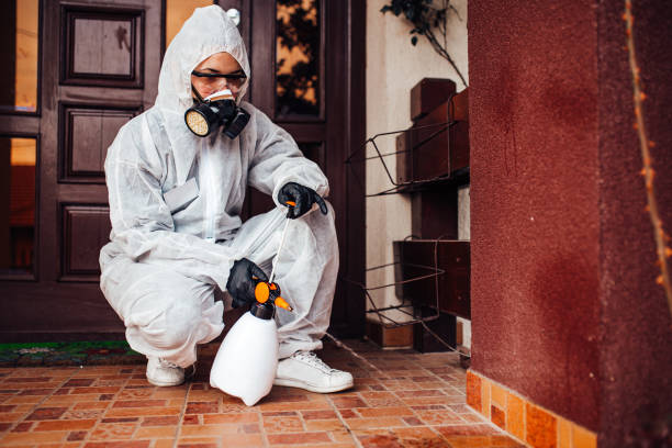 Attic and Crawl Space Rodent Treatment in Woodstown