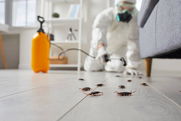Commercial Rodent Management in Woodstown